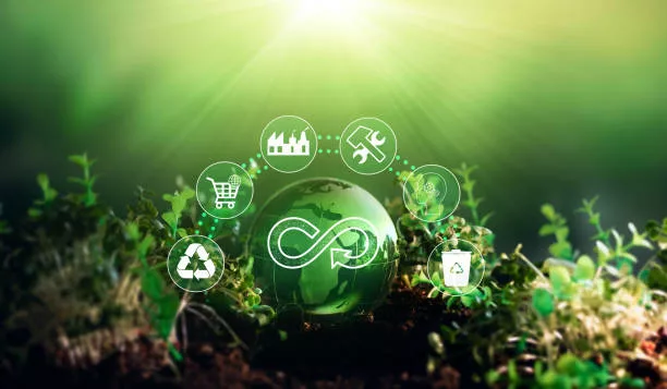 Comment intégrer l’économie circulaire dans sa stratégie marketing